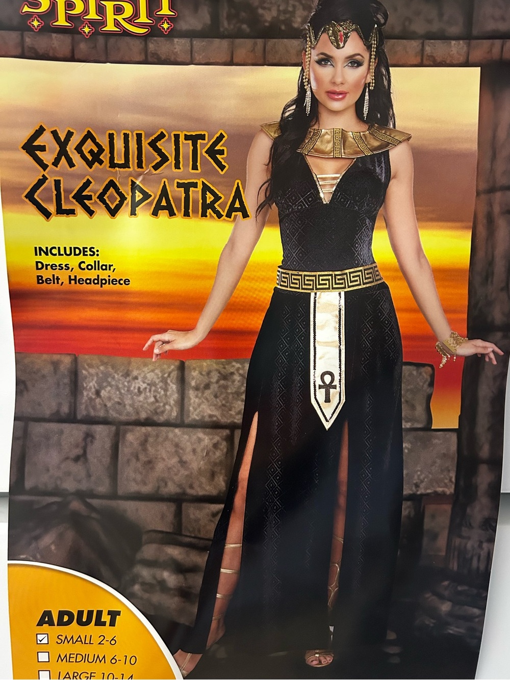 Spirit Black & Gold Cleopatra Costume for Women